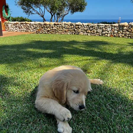 Tu Pequeno Paraiso Villa Calafell Buitenkant foto