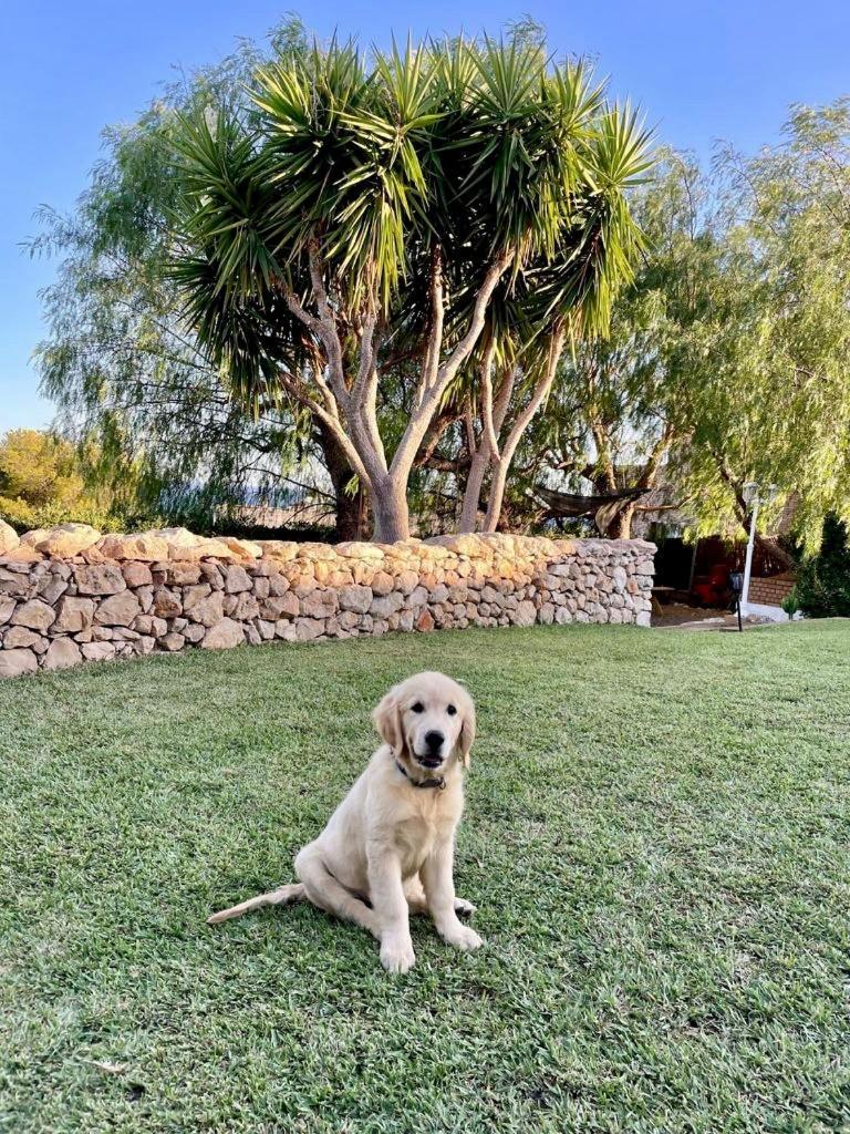 Tu Pequeno Paraiso Villa Calafell Buitenkant foto