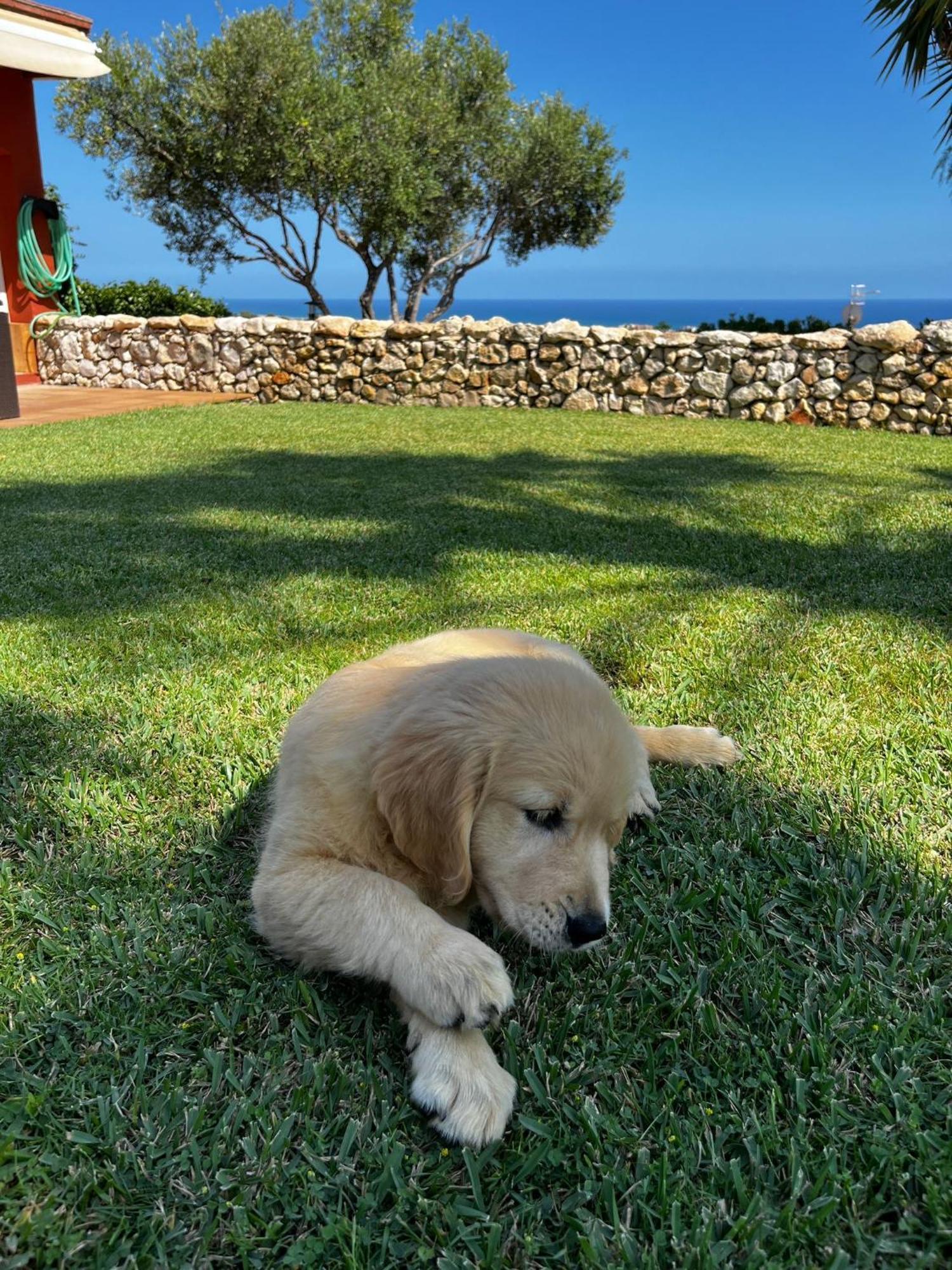 Tu Pequeno Paraiso Villa Calafell Buitenkant foto
